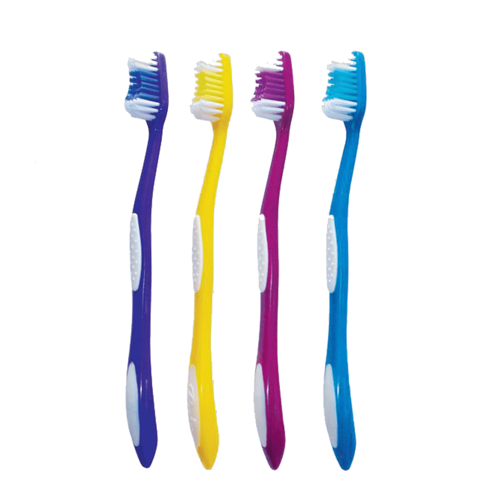 Standard Toothbrushes